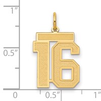 14K Yellow Gold Medium Satin Number 16 Charm view 2