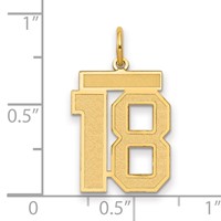 14K Medium Satin Number 18 Charm view 2