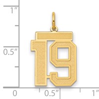 14K Yellow Gold Medium Satin Number 19 Charm view 2
