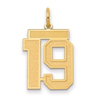 14K Yellow Gold Medium Satin Number 19 Charm view 1