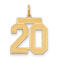 14K Medium Satin Number 20 Charm view 1