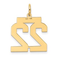14K Yellow Gold Medium Satin Number 22 Charm view 3