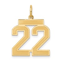 14K Yellow Gold Medium Satin Number 22 Charm view 1