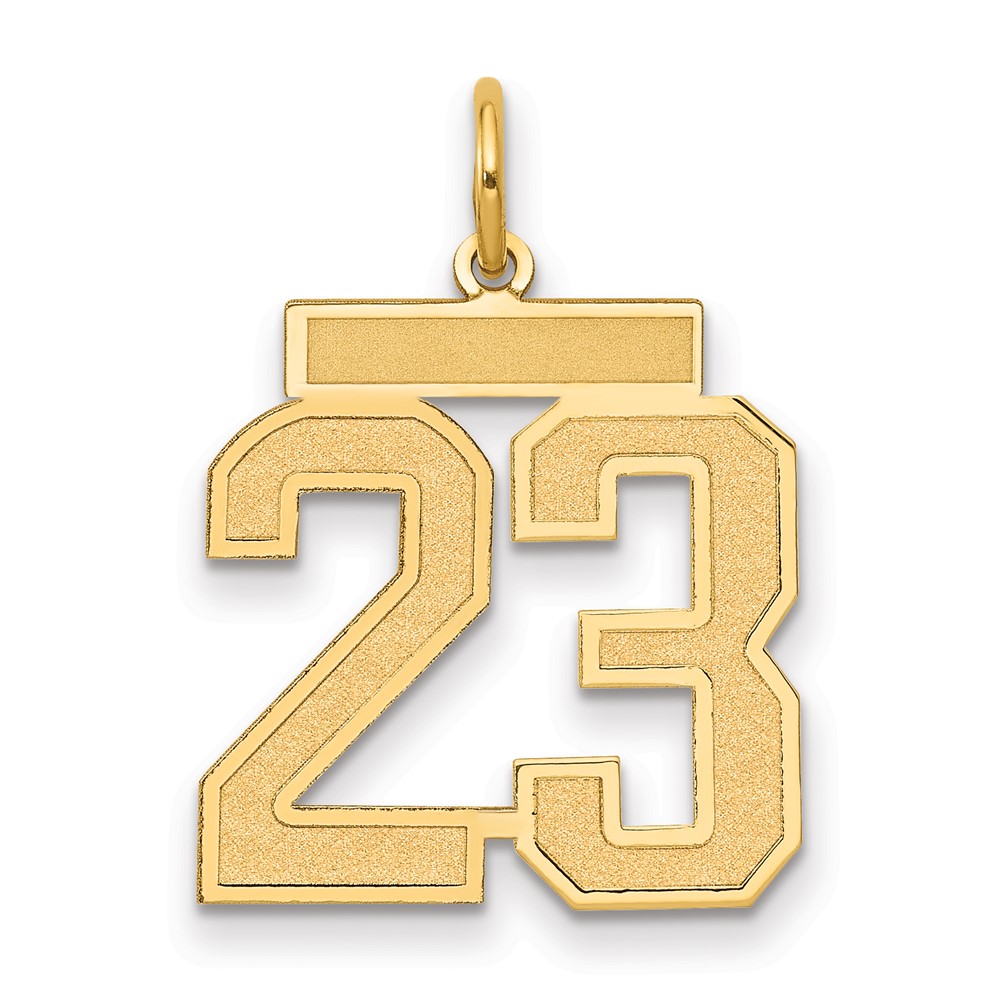 14K Yellow Gold Medium Satin Number 23 Charm