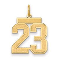 14K Yellow Gold Medium Satin Number 23 Charm view 1