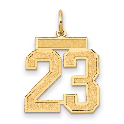 14K Yellow Gold Medium Satin Number 23 Charm