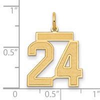 14K Yellow Gold Medium Satin Number 24 Charm view 2