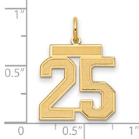 14K Yellow Gold Medium Satin Number 25 Charm view 2