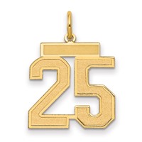 14K Yellow Gold Medium Satin Number 25 Charm view 1