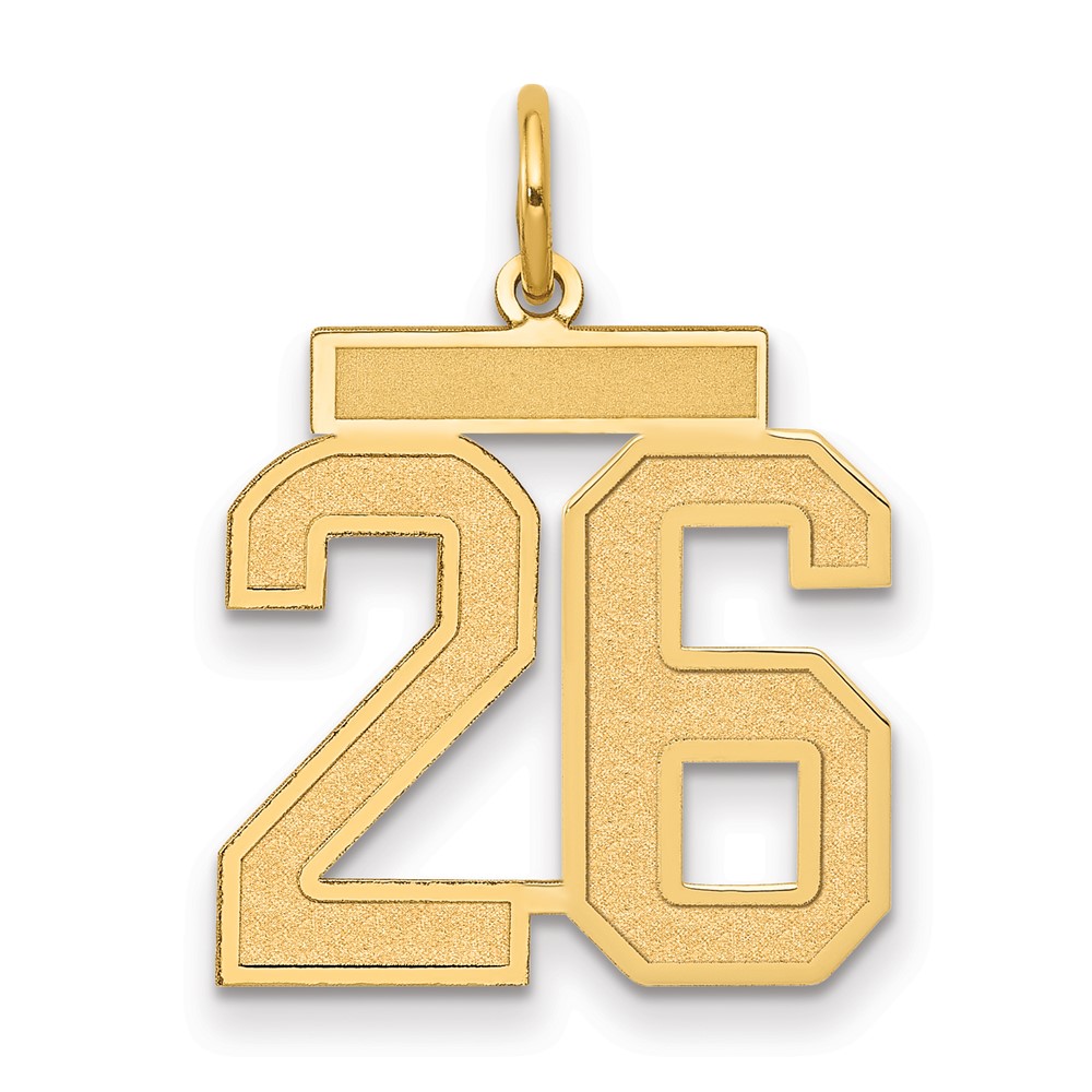 14K Yellow Gold Medium Satin Number 26 Charm
