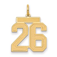14K Yellow Gold Medium Satin Number 26 Charm view 1