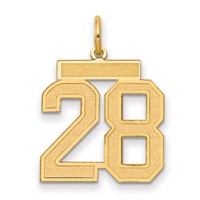 14K Yellow Gold Medium Satin Number 28 Charm view 1
