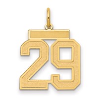 14K Medium Satin Number 29 Charm view 1