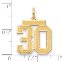 14K Yellow Gold Medium Satin Number 30 Charm view 2