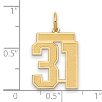 14K Yellow Gold Medium Satin Number 31 Charm view 2