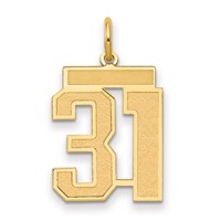 14K Yellow Gold Medium Satin Number 31 Charm view 1