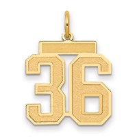 14K Yellow Gold Medium Satin Number 36 Charm view 1