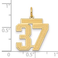 14K Yellow Gold Medium Satin Number 37 Charm view 2
