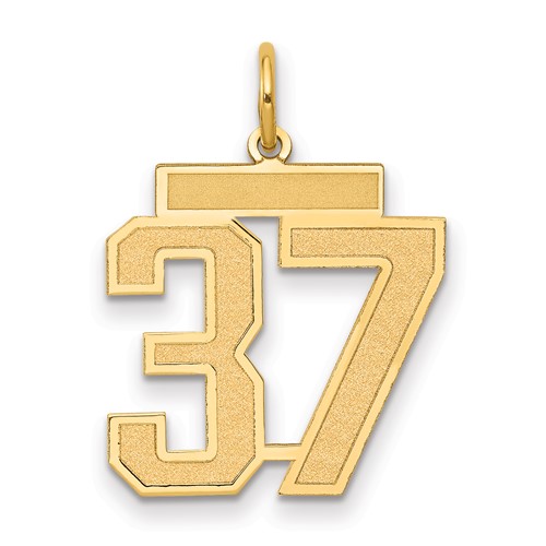 14K Yellow Gold Medium Satin Number 37 Charm