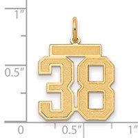 14K Yellow Gold Medium Satin Number 38 Charm view 2