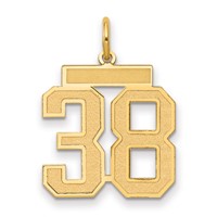14K Yellow Gold Medium Satin Number 38 Charm view 1