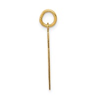 14K Yellow Gold Medium Satin Number 39 Charm view 2