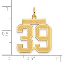 14K Yellow Gold Medium Satin Number 39 Charm view 4