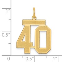 14K Medium Satin Number 40 Charm view 3