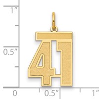 14K Yellow Gold Medium Satin Number 41 Charm view 2