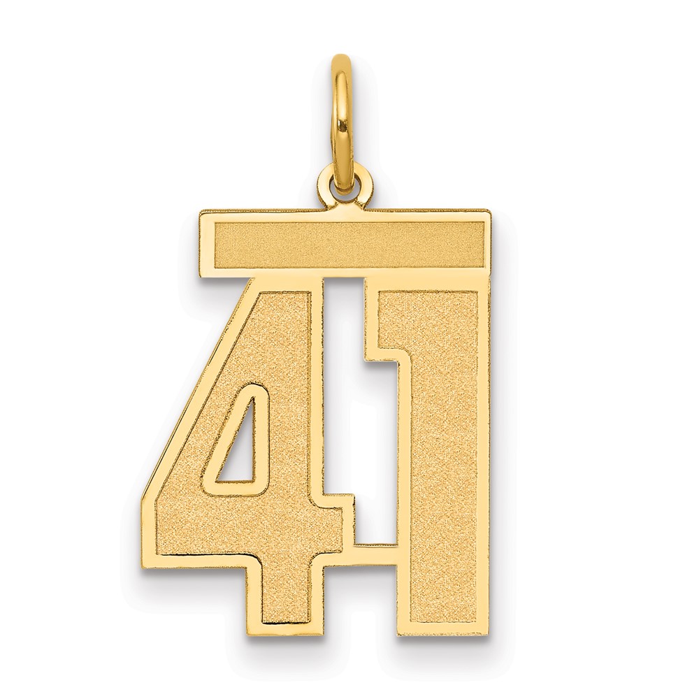 14K Yellow Gold Medium Satin Number 41 Charm