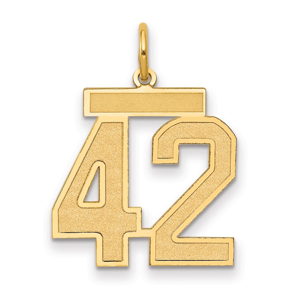 14K Medium Satin Number 42 Charm