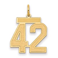 14K Medium Satin Number 42 Charm view 1