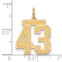 14K Yellow Gold Medium Satin Number 43 Charm view 2
