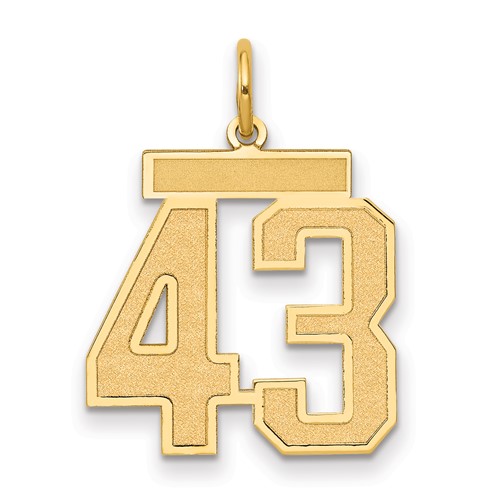 14K Yellow Gold Medium Satin Number 43 Charm