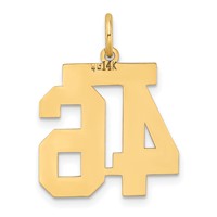 14K Yellow Gold Medium Satin Number 46 Charm view 3