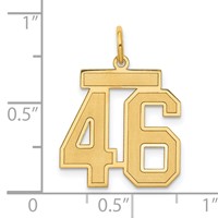 14K Yellow Gold Medium Satin Number 46 Charm view 4