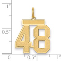 14K Yellow Gold Medium Satin Number 48 Charm view 2