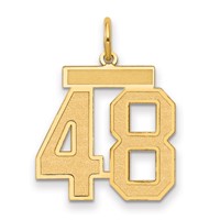 14K Yellow Gold Medium Satin Number 48 Charm view 1