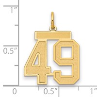 14K Yellow Gold Medium Satin Number 49 Charm view 2