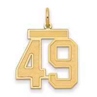 14K Yellow Gold Medium Satin Number 49 Charm view 1