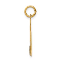 14K Yellow Gold Medium Satin Number 50 Charm view 2