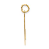 14K Yellow Gold Medium Satin Number 51 Charm view 2