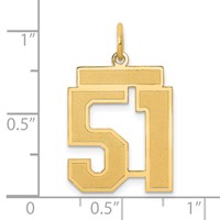 14K Yellow Gold Medium Satin Number 51 Charm view 3
