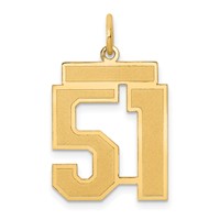 14K Yellow Gold Medium Satin Number 51 Charm view 1