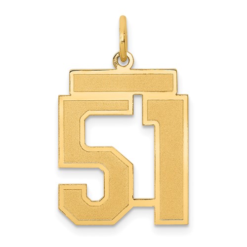 14K Yellow Gold Medium Satin Number 51 Charm