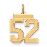 14K Yellow Gold Medium Satin Number 52 Charm view 1