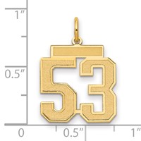 14K Medium Satin Number 53 Charm view 2