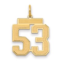 14K Medium Satin Number 53 Charm view 1