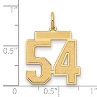 14K Yellow Gold Medium Satin Number 54 Charm view 2