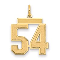 14K Yellow Gold Medium Satin Number 54 Charm view 1
